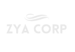 ZYA CORP